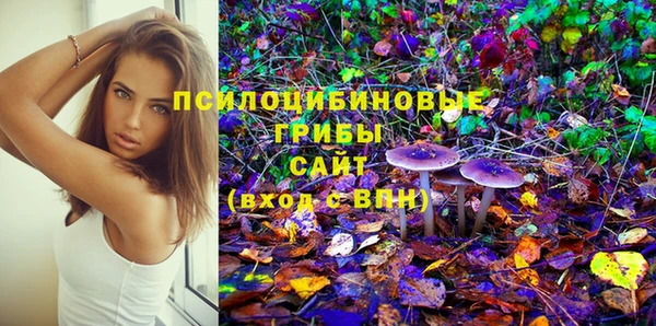 меф Арсеньев