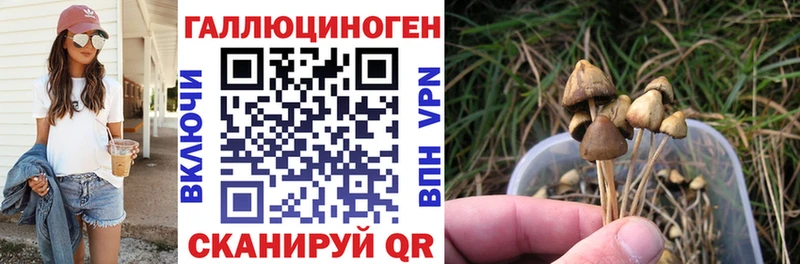 Псилоцибиновые грибы Cubensis  Пучеж 